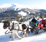 Pferdeschlittenfahrten im Lungau Pferdeschlittenfahrten im Lungau